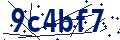 Codice di sicurezza
