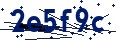 Codice di sicurezza