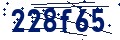 Codice di sicurezza