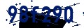 Codice di sicurezza