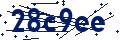 Codice di sicurezza