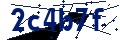 Codice di sicurezza