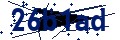 Beveiligingscode
