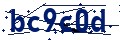 Beveiligingscode