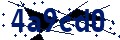 Beveiligingscode