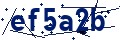 Beveiligingscode