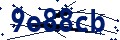 Beveiligingscode