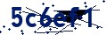 Beveiligingscode