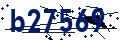 Beveiligingscode