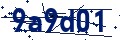 Beveiligingscode