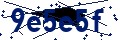 Beveiligingscode