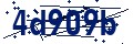 Beveiligingscode
