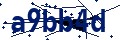 Beveiligingscode
