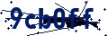 Beveiligingscode