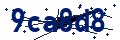 Beveiligingscode