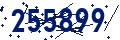 Beveiligingscode