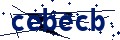 Beveiligingscode