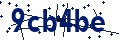 Beveiligingscode