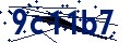 Beveiligingscode