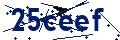 Beveiligingscode