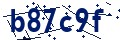 Beveiligingscode