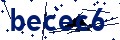 Beveiligingscode