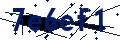 Beveiligingscode