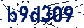 Beveiligingscode