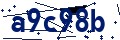 Beveiligingscode