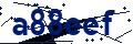 Beveiligingscode