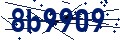 Beveiligingscode