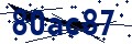 Beveiligingscode