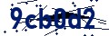 Beveiligingscode