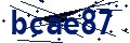 Beveiligingscode