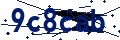 Beveiligingscode