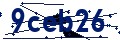 Beveiligingscode