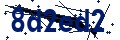 Beveiligingscode