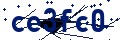 Beveiligingscode