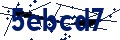 Beveiligingscode