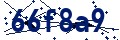 Beveiligingscode