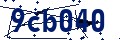 Beveiligingscode