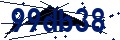 Beveiligingscode