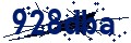 Beveiligingscode