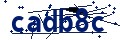 Beveiligingscode