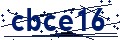 Beveiligingscode