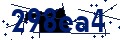 Beveiligingscode