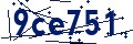 Beveiligingscode