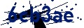 Beveiligingscode