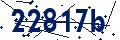 Beveiligingscode
