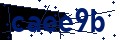 Beveiligingscode
